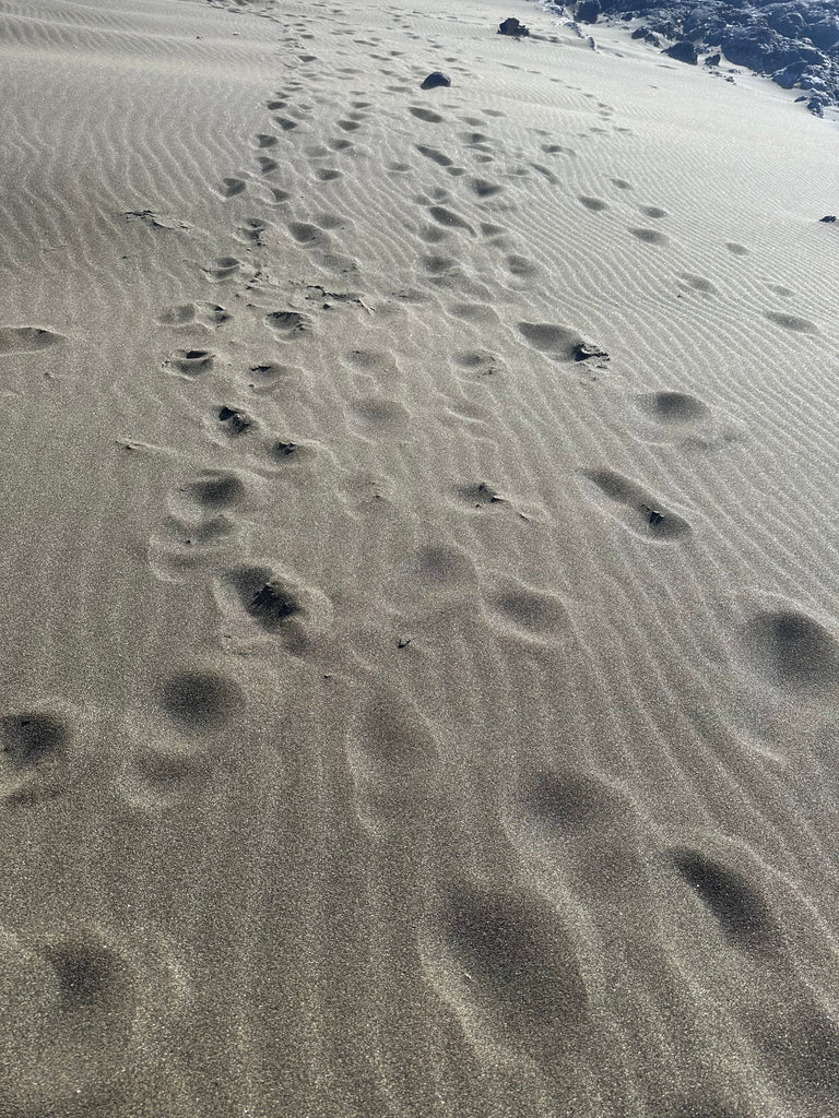 Traces de pas dans le sable