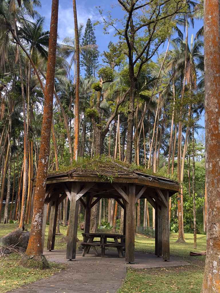 Aire de pique réunionnaise