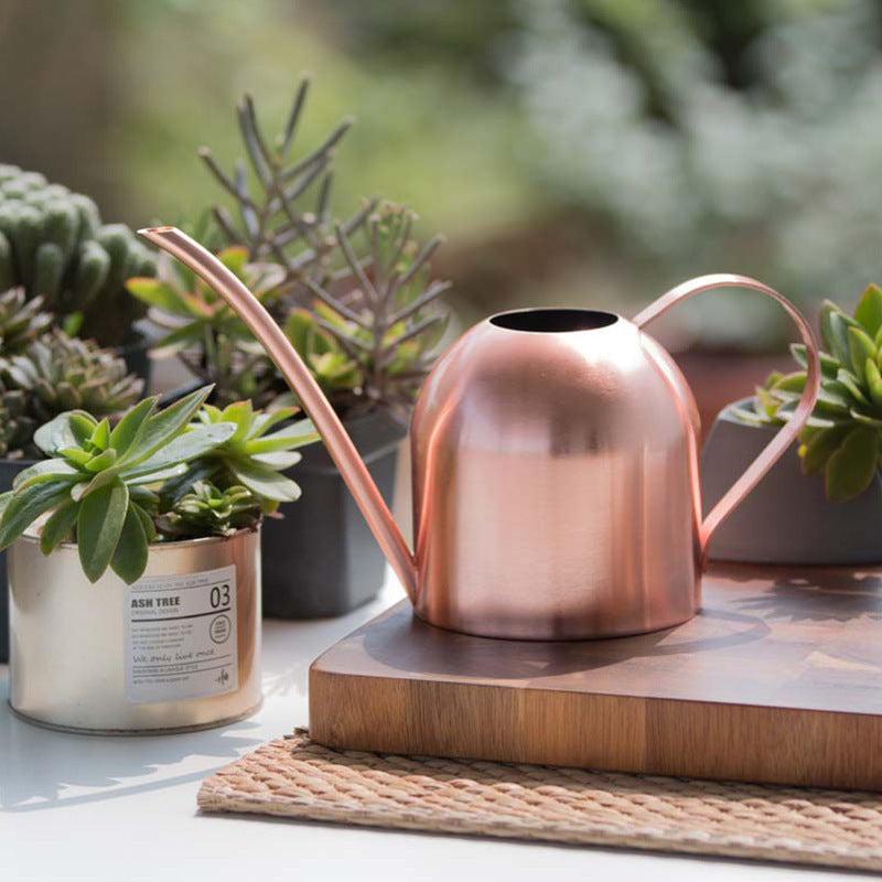 Arrosoir arrondi rose gold Accessoires de cuisine 